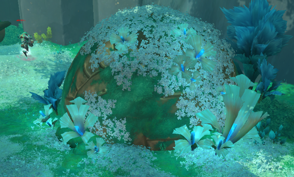 가루받이 추출물을 주는 꽃을 덮고 있는 보주의 모습