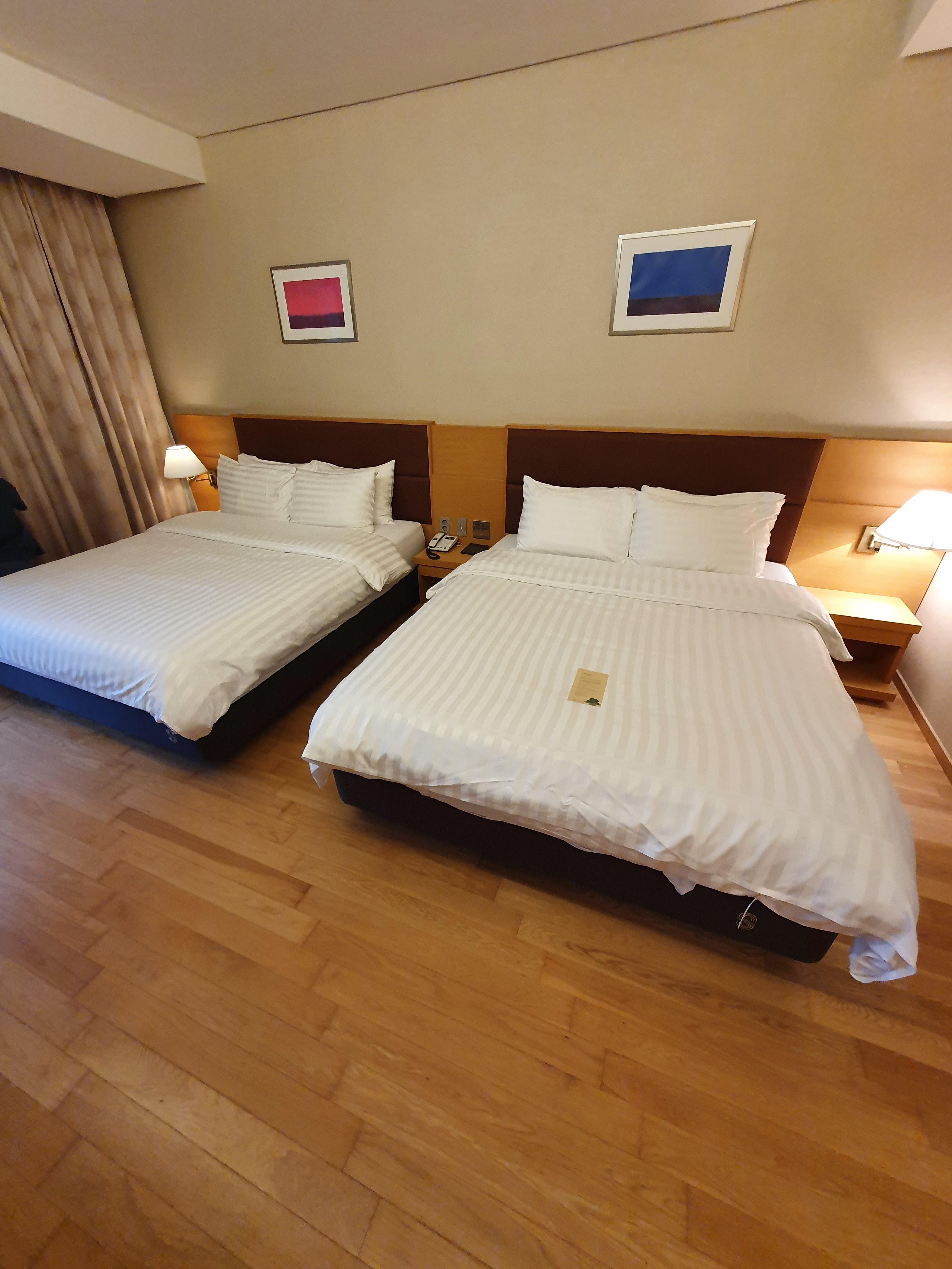 델피노 소노캄c 패밀리 룸 객실