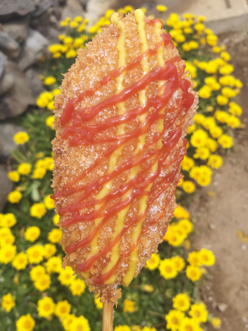 가파도 맛집