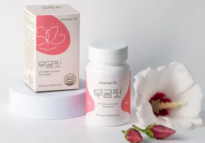 무궁핏 부작용 효과 내돈내산 후기 복용법 가격