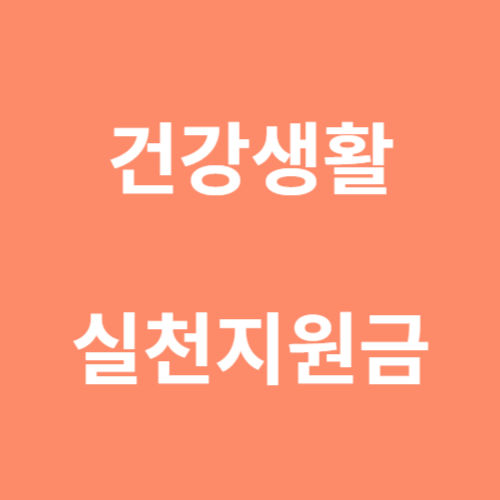 건강생활 실천지원금