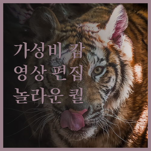 가성비 영상 편집 서비스 놀라운 퀄리