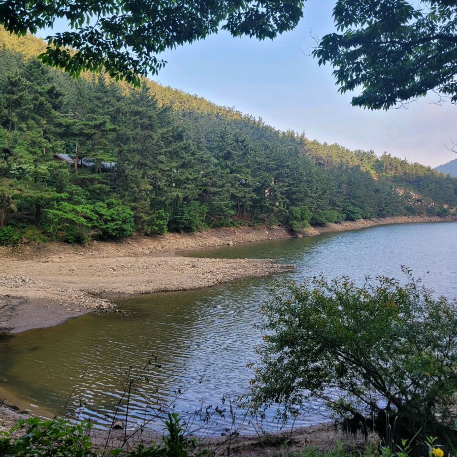 희리산해송자연휴양림