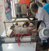 고추세척