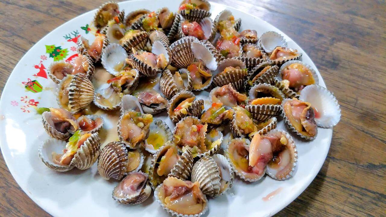 꼬막 성분 효능 부작용 간단 정리