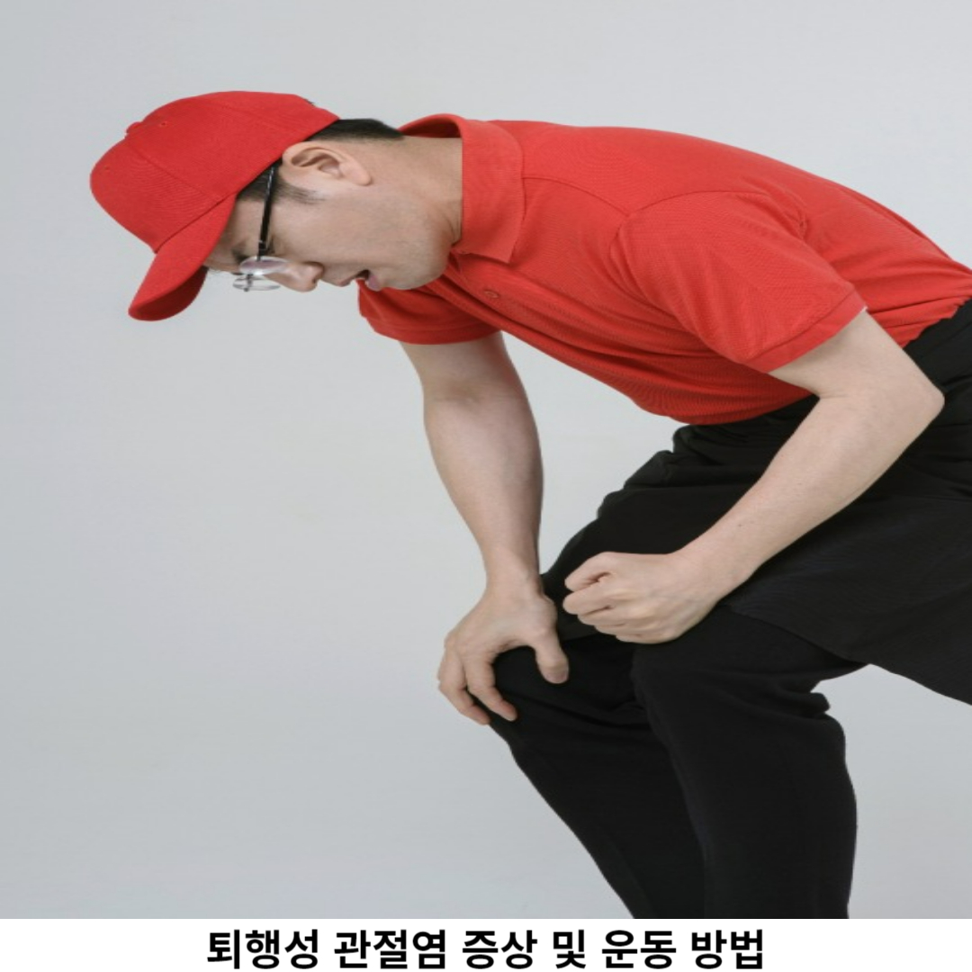 퇴행성 관절염의 정의