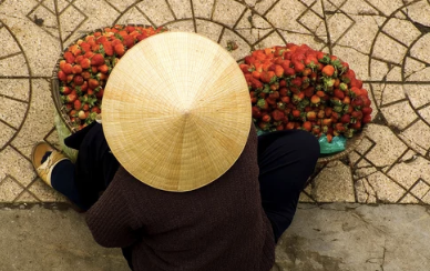 Dalat&amp;#44; Vietnam