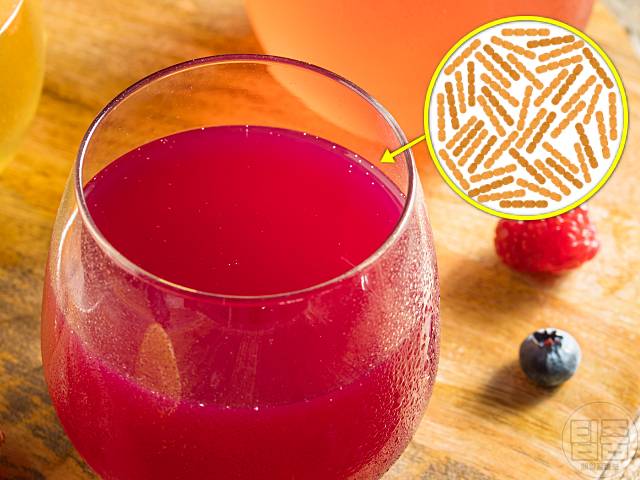 유산균 함량 많은 음식 콤부차 유산균추천