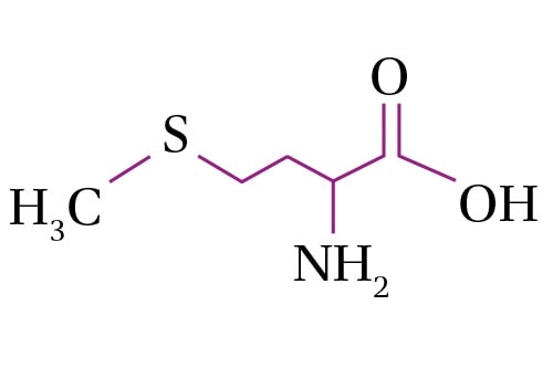 메티오닌 화학 구조