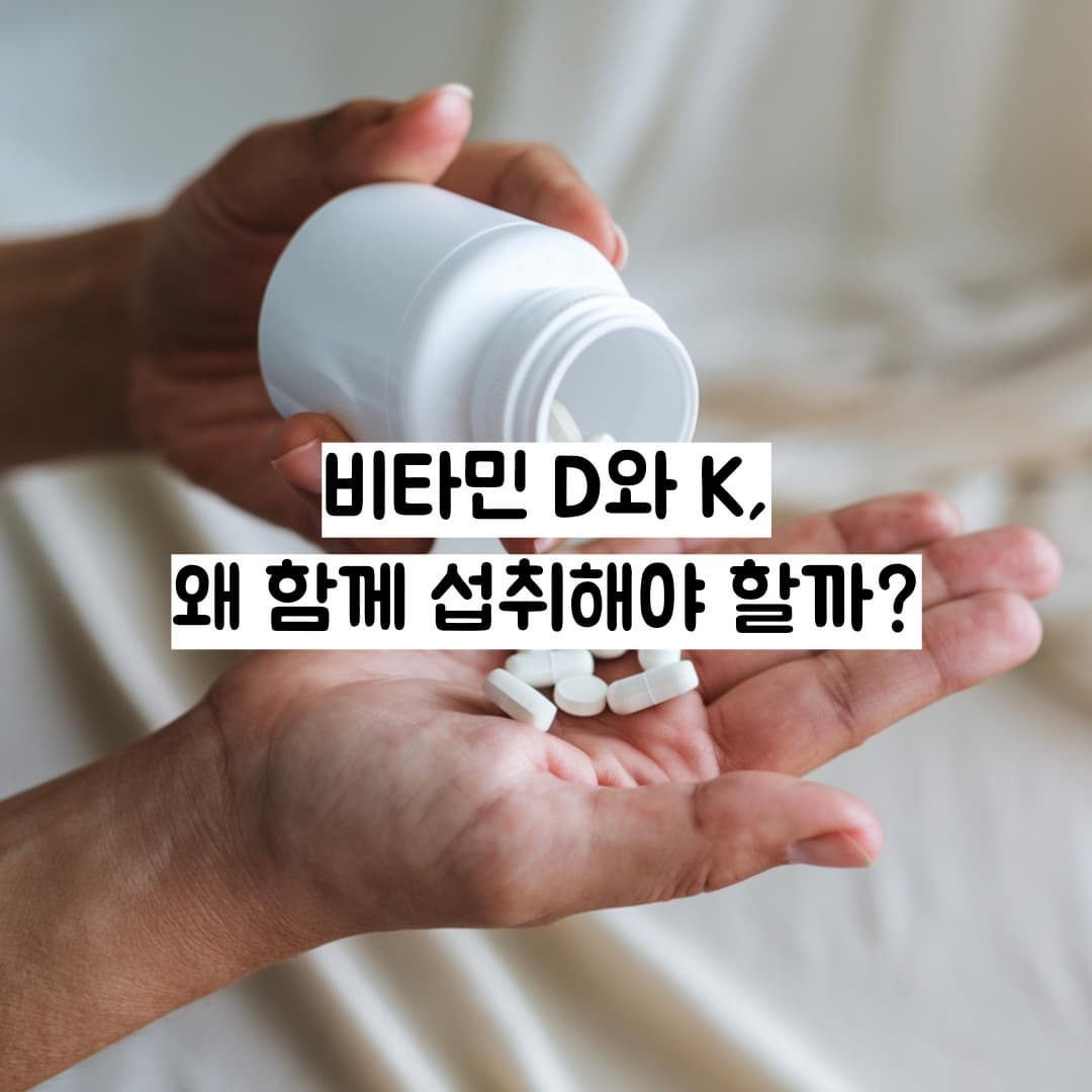 비타민 D와 K, 왜 함께 섭취해야 할까?