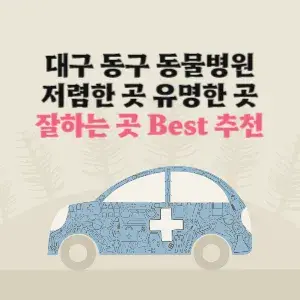 대구 동구 동물병원 잘하는 곳 가격 저렴한 곳 추천