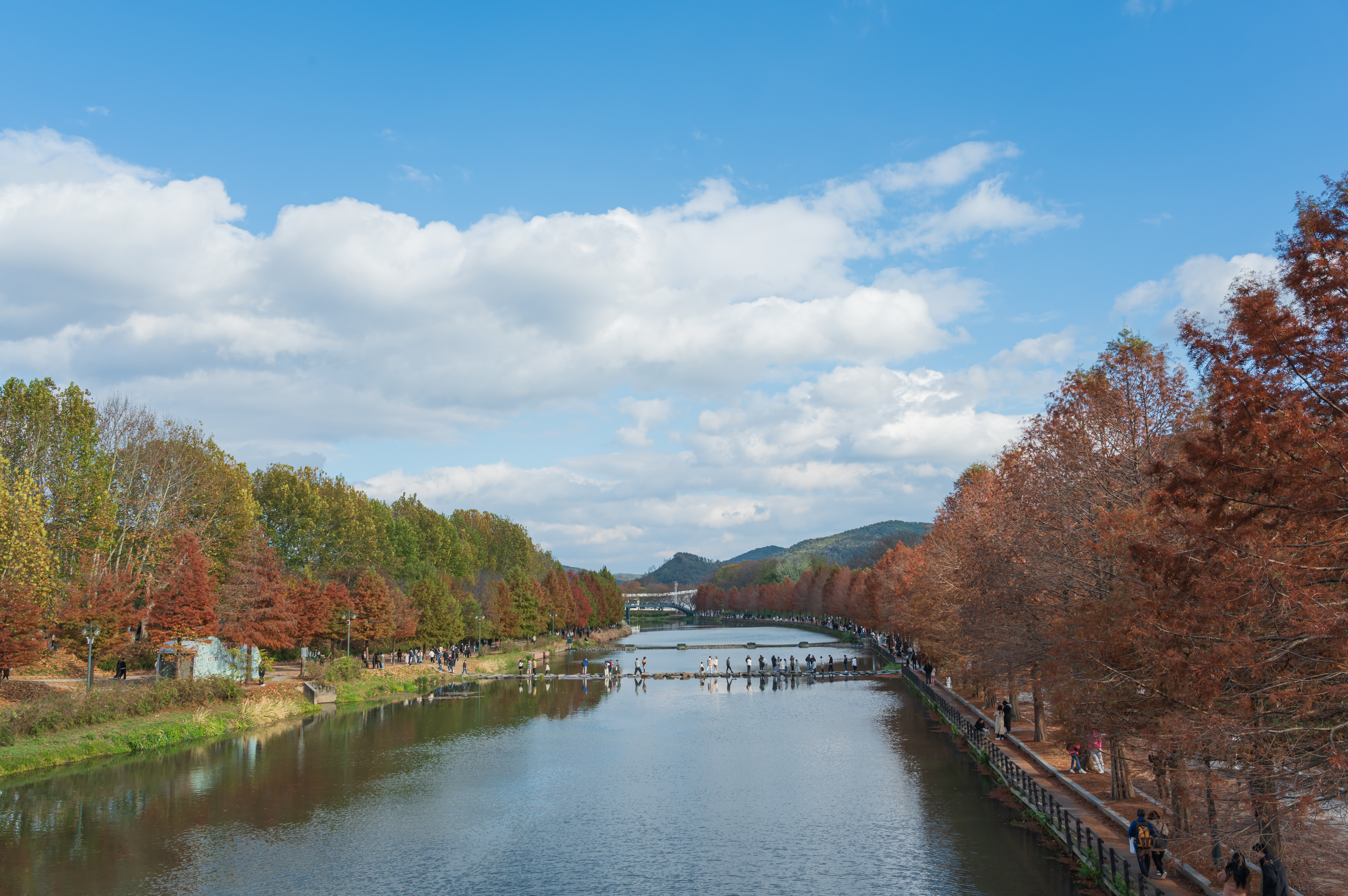 ๋ด์ ๊ด๋ฐฉ์ ๋ฆผ