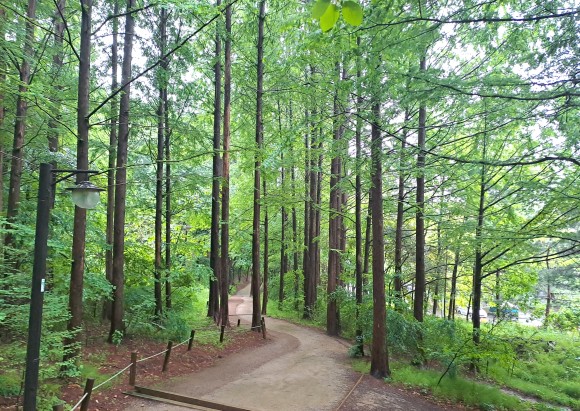 고양시 반려견 겨울 나들이 명소, 강아지와 함께 걷기 좋은 산책 코스