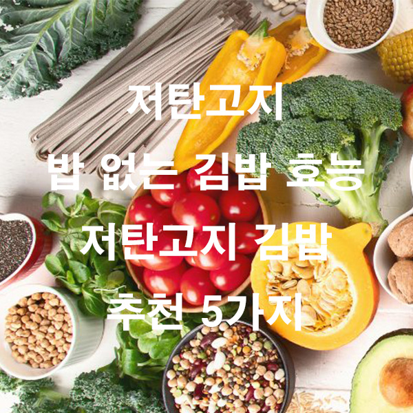 저탄고지 밥 없는 김밥 효능 저탄고지 김밥 추천 5가지