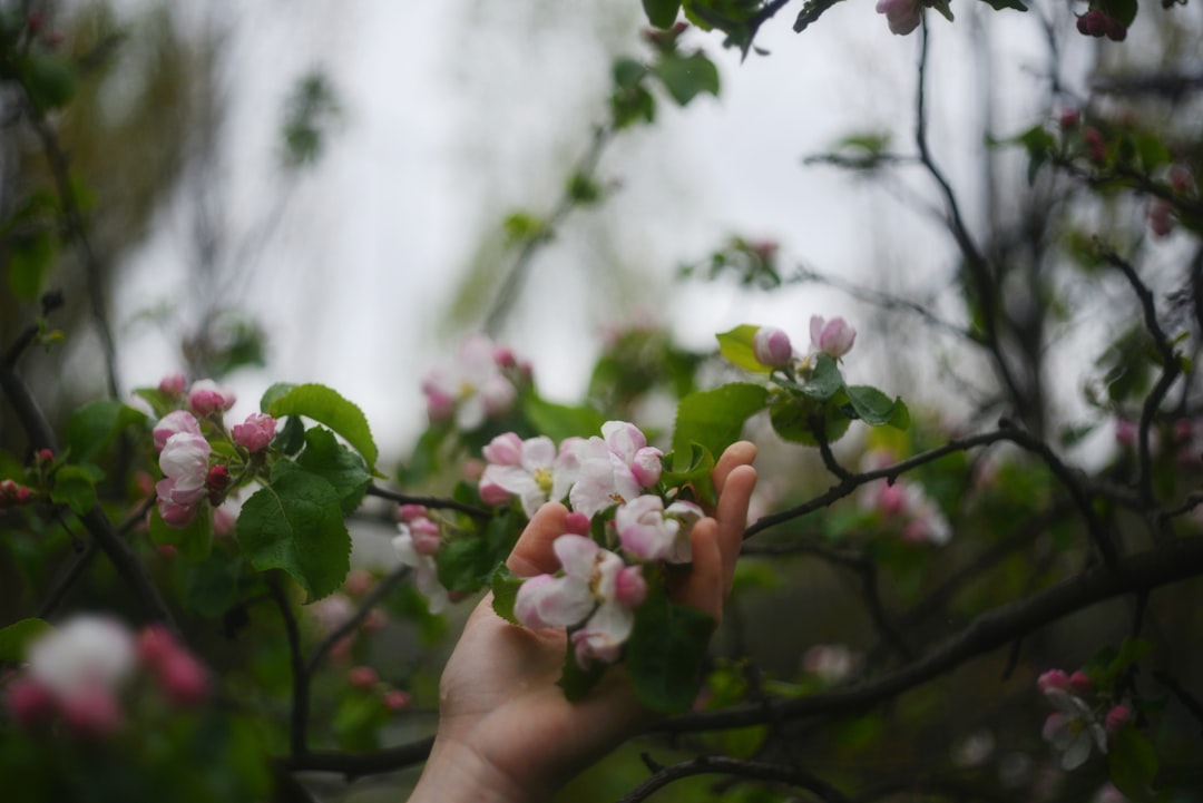 Flowering