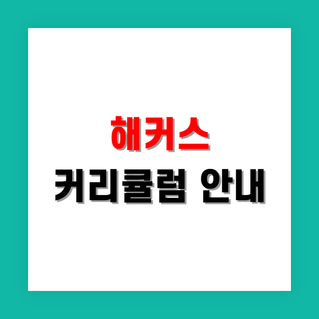 해커스 처음 시작하는 수험생을 위한 커리큘럼 안내