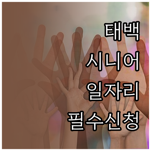 태백시 시니어클럽 사업단 활동 내용 ..