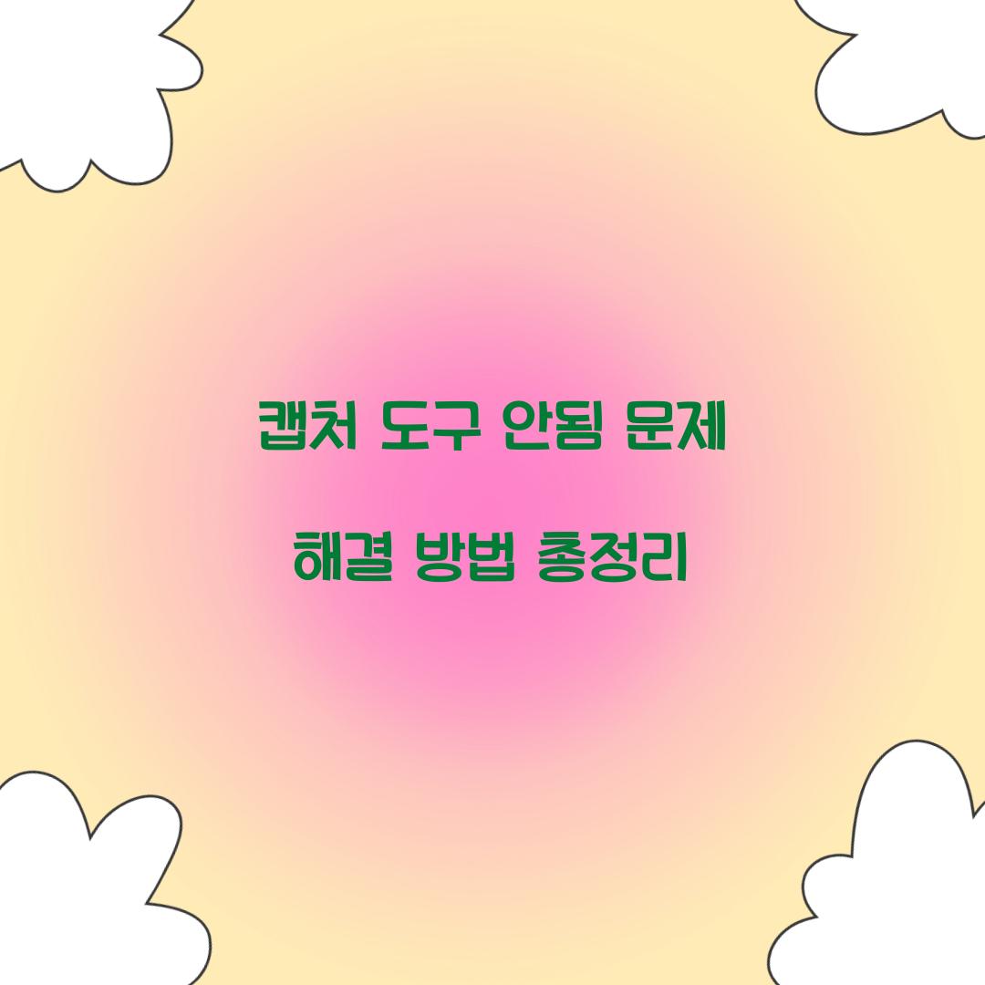 캡처 도구 안됨