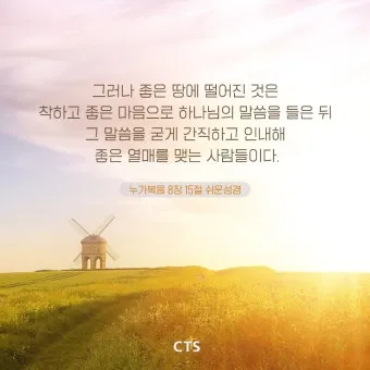 매일성경 묵상과 깨달음(누가복음 8장 1-15절) 씨 뿌리는 자의 비유 말씀_8