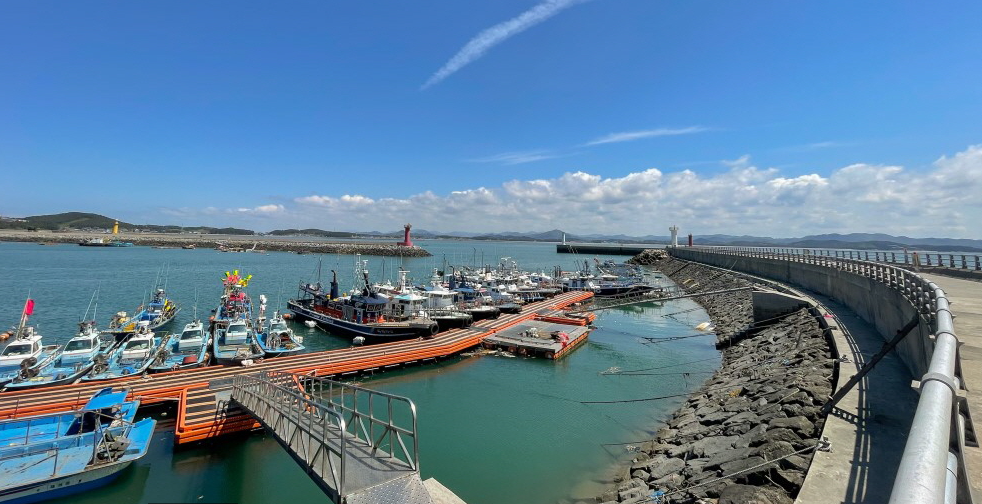 서천 동백꽃 주꾸미 축제