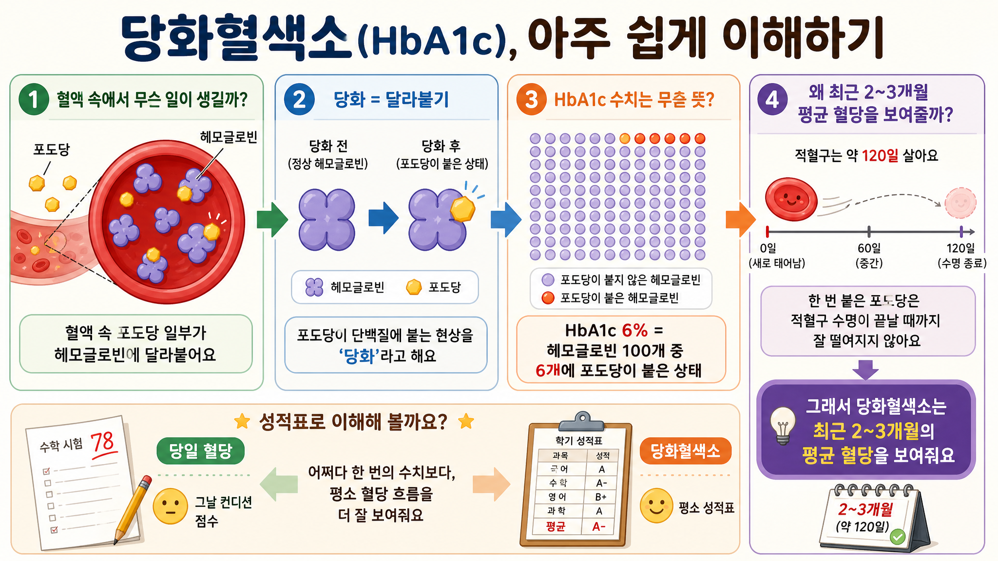 당화혈색소, 아주 쉽게 이해하기