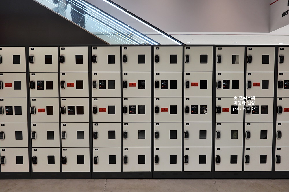 우연히 웨스 앤더슨 전시 추천, 그라운드 시소 성수