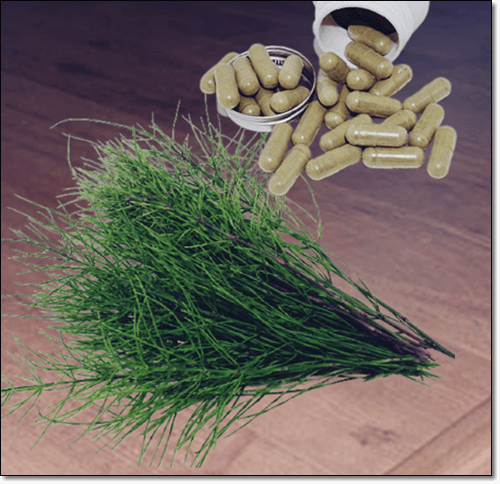 실리카 보충제와 쇠뜨기 