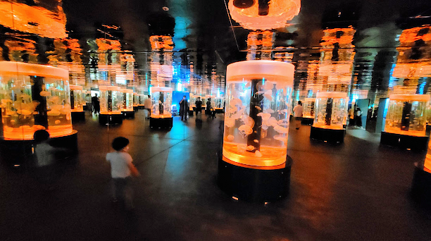 광교 아쿠아플라넷 다녀온 후기 사진 12