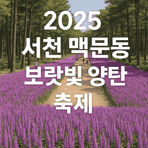 2025 서천 맥문동 꽃축제 일정·라인업·개화현황 총정리