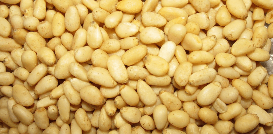 잣이 쌓여 있다