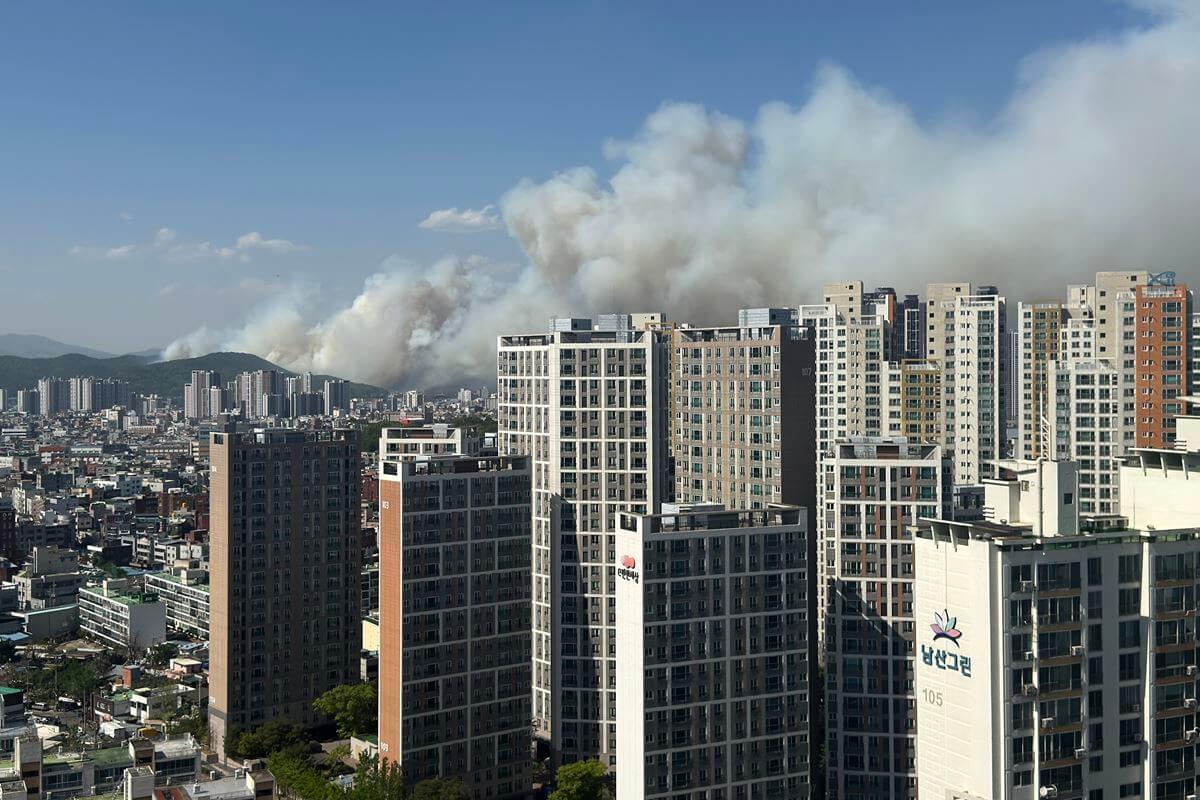 대구 함지산 산불 원인 실시간 상황 대피 주의사항