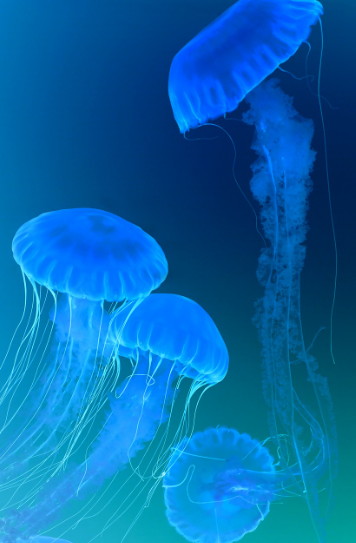 자연에서 배우는 소프트 로봇 기술: 유연성과 적응력의 비밀