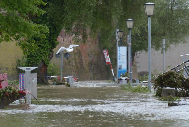 차량침수 - 침수차량보상 / 차량 침수 피해 보상 / 침수차량 구별법