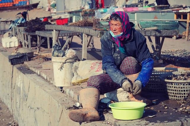 서울 시니어 일자리센터 지원? 노인 고령자 근무지 시급 사진