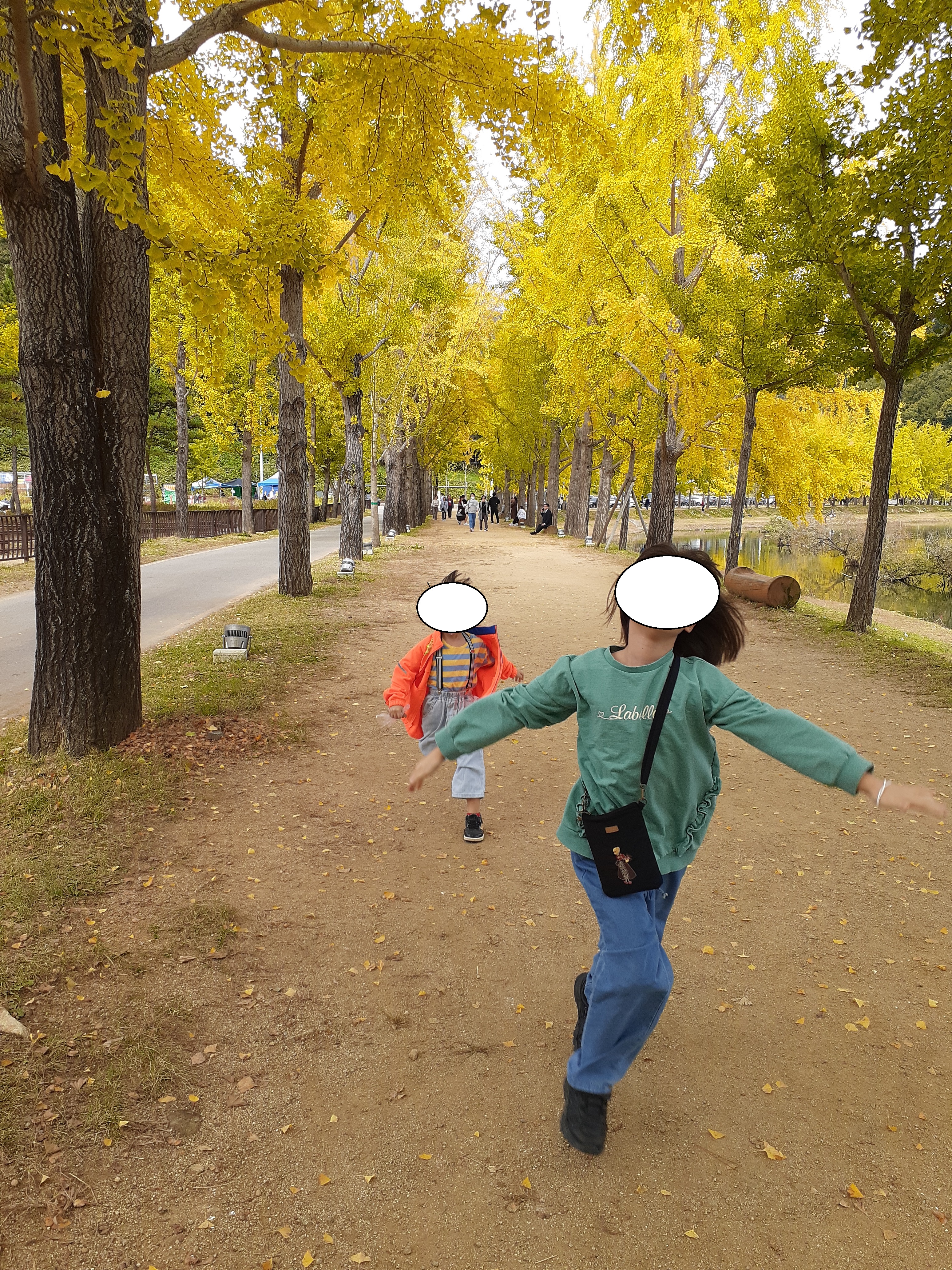 문광저수지단풍