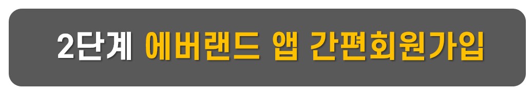 에버랜드 오후권 구매