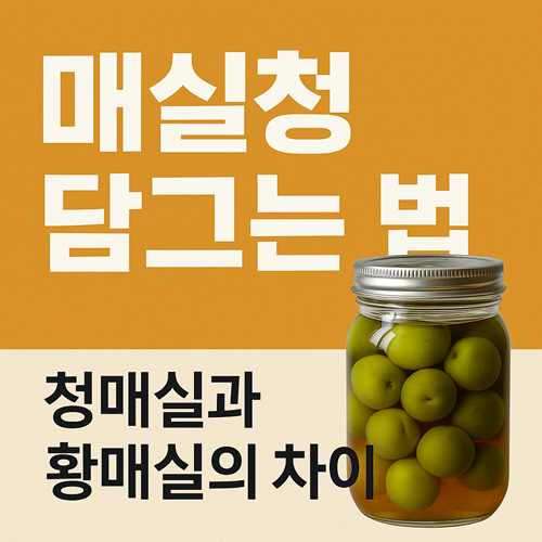 청매실과 황매실 차이부터 설탕 비율&middot;효능까지 총정리!