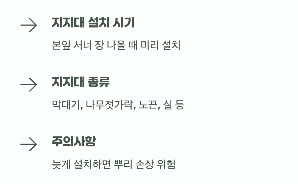 타고 올라갈 길을 미리 만들어주기