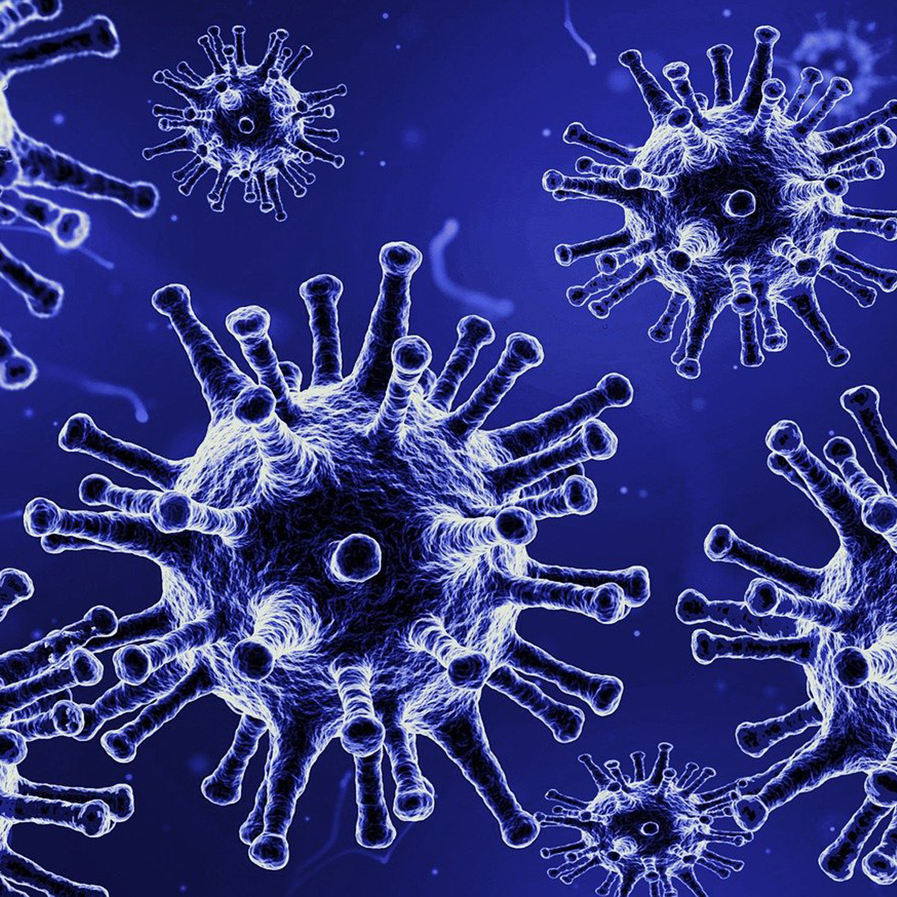 심근염 관련 자료 사진