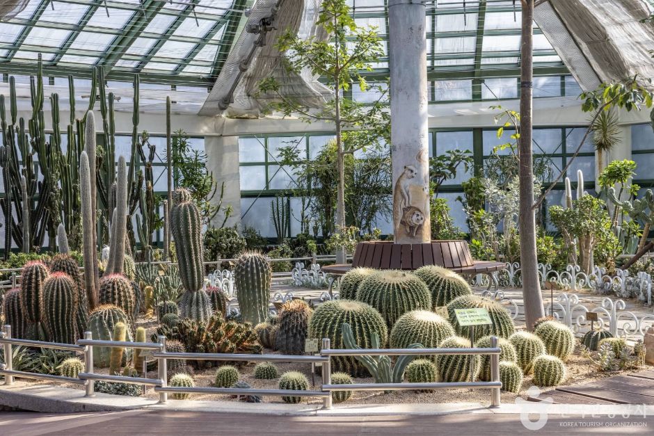 청주 가볼만한곳 베스트10