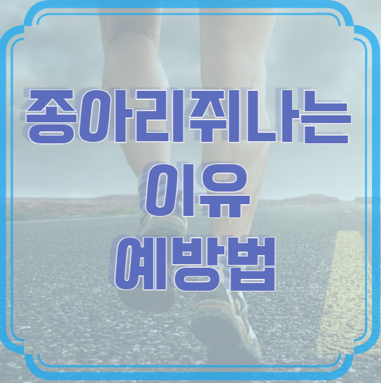 종아리에 쥐 나는 이유와 효과적인 예방법