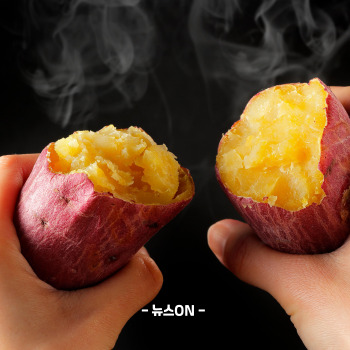 칼륨이 많은 음식