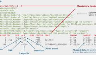 vcf파일열기 사이트 소개