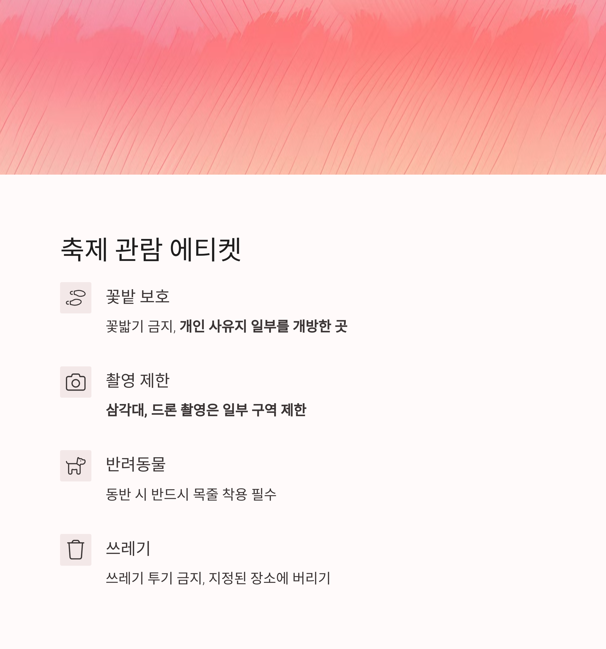 전남 진도에서 펼쳐지는 작약꽃 향연, 5월의 감성 여행지