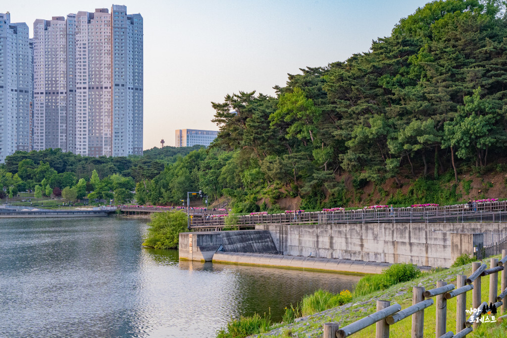 광교호수공원 산책로