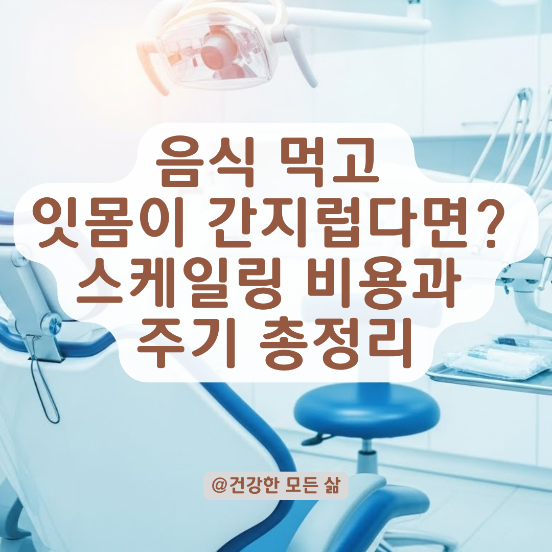 음식만 먹으면 가려움 폭발? 잇몸 구원투수 스케일링 주기와 비용 완전 정복.