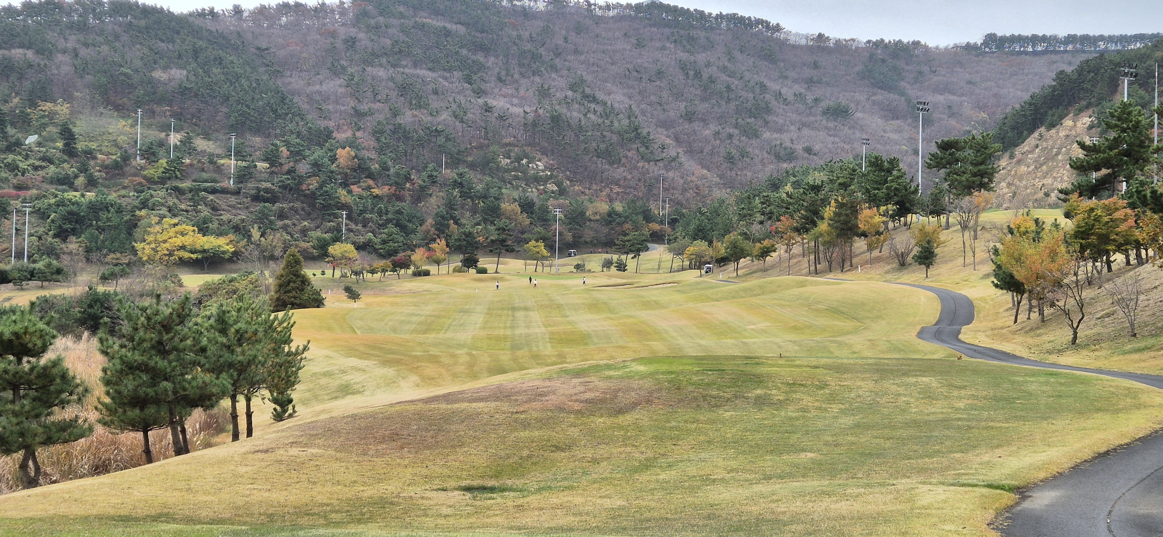 골든베이cc 밸리 코스 사진 및 공략 정보