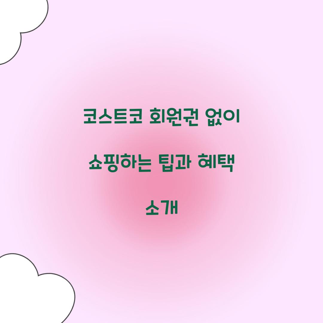 코스트코 회원권 없이