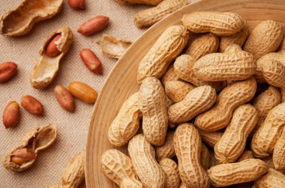 땅콩 효능