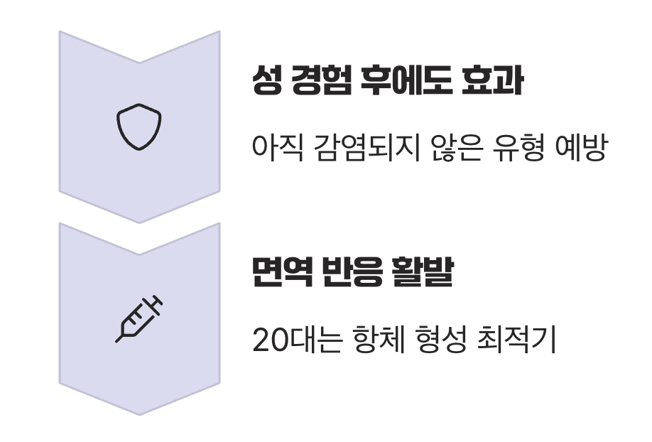 왜 '20대'가 황금 시간대일까?